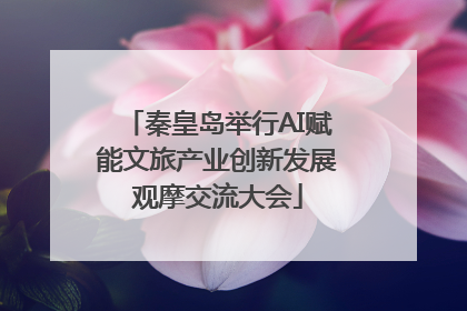 秦皇岛举行AI赋能文旅产业创新发展观摩交流大会