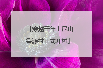 穿越千年！尼山鲁源村正式开村