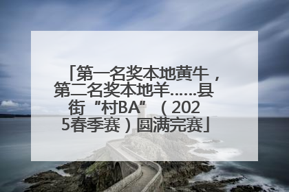 第一名奖本地黄牛，第二名奖本地羊……县街“村BA”（2025春季赛）圆满完赛