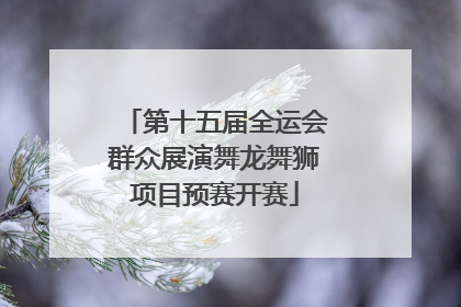 第十五届全运会群众展演舞龙舞狮项目预赛开赛