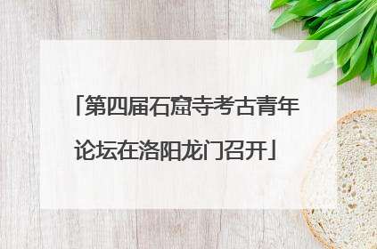 第四届石窟寺考古青年论坛在洛阳龙门召开