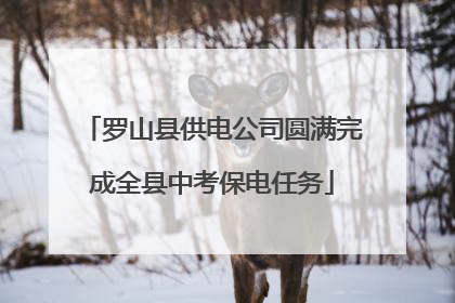 罗山县供电公司圆满完成全县中考保电任务