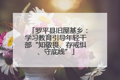 罗平县旧屋基乡：学习教育引导年轻干部“知敬畏、存戒惧、守底线”