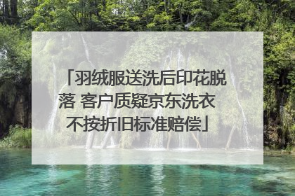 羽绒服送洗后印花脱落 客户质疑京东洗衣不按折旧标准赔偿