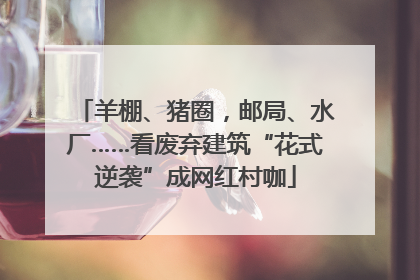 羊棚、猪圈，邮局、水厂……看废弃建筑“花式逆袭”成网红村咖