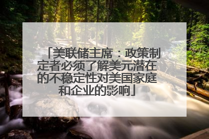 美联储主席：政策制定者必须了解美元潜在的不稳定性对美国家庭和企业的影响
