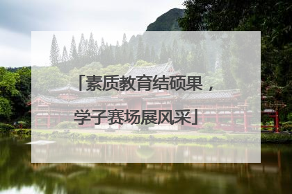 素质教育结硕果，学子赛场展风采