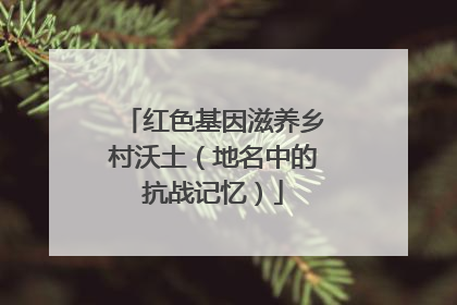红色基因滋养乡村沃土（地名中的抗战记忆）