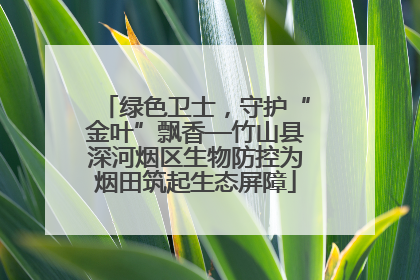 绿色卫士，守护“金叶”飘香—竹山县深河烟区生物防控为烟田筑起生态屏障