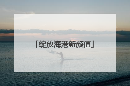 绽放海港新颜值