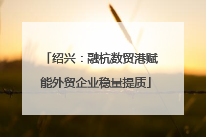 绍兴：融杭数贸港赋能外贸企业稳量提质