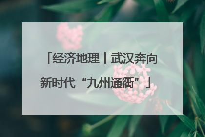 经济地理丨武汉奔向新时代“九州通衢”