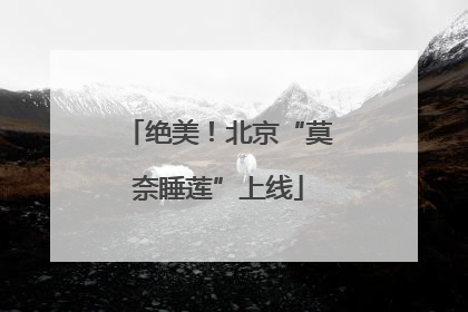 绝美！北京“莫奈睡莲”上线