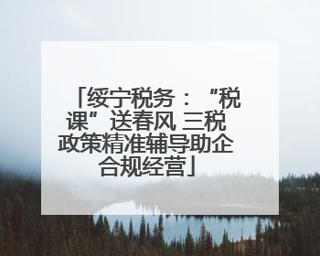 绥宁税务：“税课”送春风 三税政策精准辅导助企合规经营