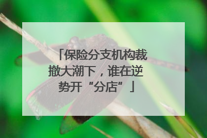 保险分支机构裁撤大潮下，谁在逆势开“分店”