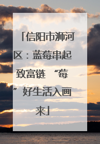 信阳市浉河区：蓝莓串起致富链 “莓”好生活入画来