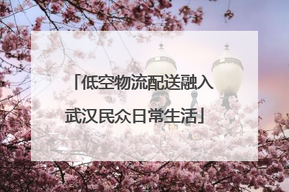 低空物流配送融入武汉民众日常生活