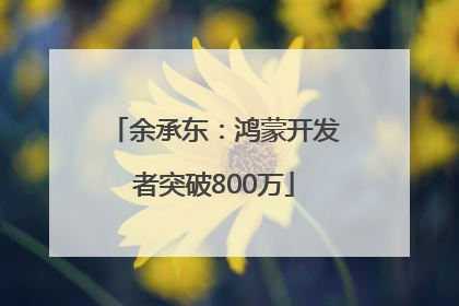 余承东：鸿蒙开发者突破800万