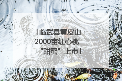 临武县黄皮山：2000亩红心桃“甜蜜”上市