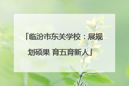 临汾市东关学校：展规划硕果 育五育新人