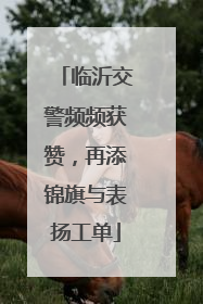 临沂交警频频获赞，再添锦旗与表扬工单