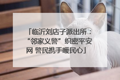 临沂刘店子派出所：“邻家义警”织密平安网 警民携手暖民心