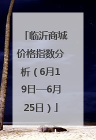 临沂商城价格指数分析（6月19日—6月25日）