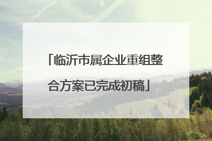 临沂市属企业重组整合方案已完成初稿