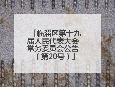 临淄区第十九届人民代表大会常务委员会公告（第20号）