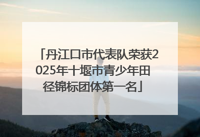 丹江口市代表队荣获2025年十堰市青少年田径锦标团体第一名
