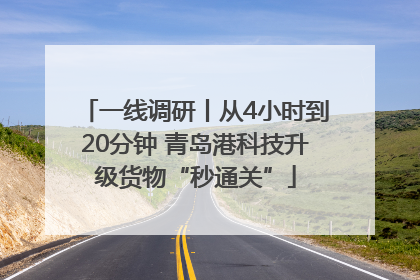 一线调研丨从4小时到20分钟 青岛港科技升级货物“秒通关”