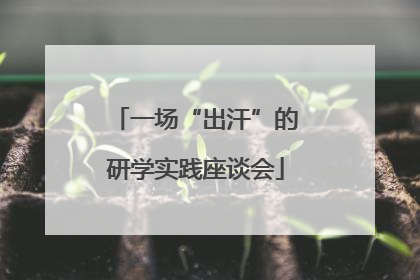 一场“出汗”的研学实践座谈会