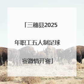 三穗县2025年职工五人制足球赛激情开赛