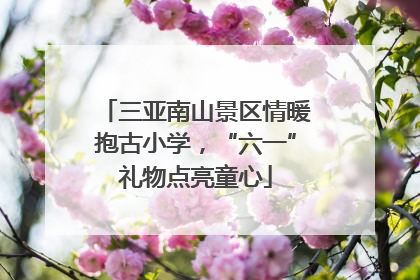 三亚南山景区情暖抱古小学，“六一”礼物点亮童心