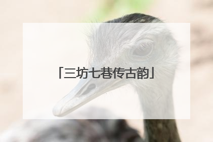 三坊七巷传古韵