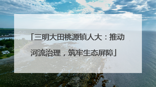 三明大田桃源镇人大：推动河流治理，筑牢生态屏障