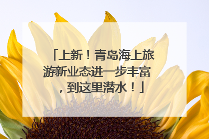 上新！青岛海上旅游新业态进一步丰富，到这里潜水！
