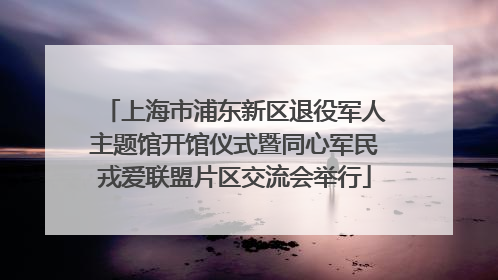 上海市浦东新区退役军人主题馆开馆仪式暨同心军民戎爱联盟片区交流会举行