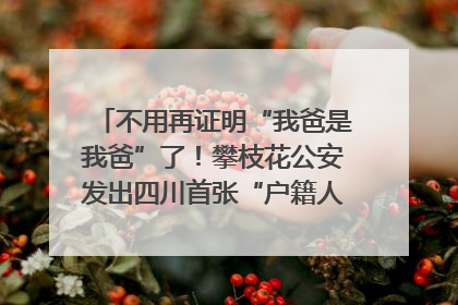 不用再证明“我爸是我爸”了！攀枝花公安发出四川首张“户籍人口直系亲属关系谱”