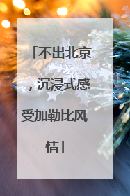 不出北京，沉浸式感受加勒比风情