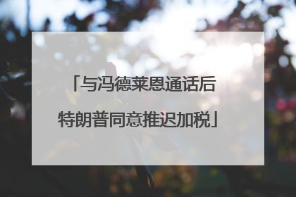 与冯德莱恩通话后 特朗普同意推迟加税
