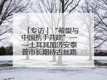专访丨“希望与中国携手共建”——土耳其加济安泰普市长期待古丝路重镇焕发新活力
