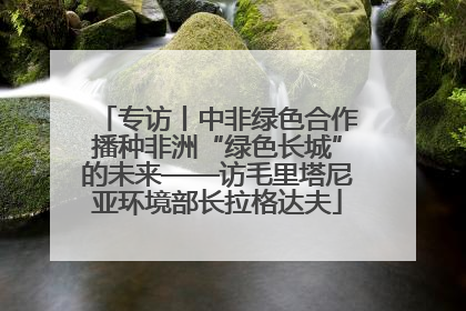 专访丨中非绿色合作播种非洲“绿色长城”的未来——访毛里塔尼亚环境部长拉格达夫