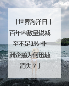 世界海洋日丨百年内数量锐减至不足1% 非洲企鹅为何迅速消失？