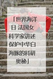 世界海洋日 法国女科学家讲述保护中华白海豚的科研奥秘