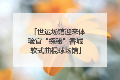 世运场馆迎来体验官“探秘”香城软式曲棍球场馆
