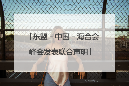 东盟－中国－海合会峰会发表联合声明