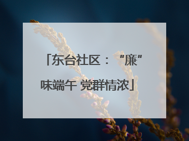 东台社区：“廉”味端午 党群情浓