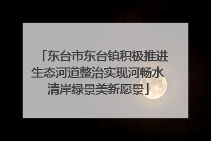 东台市东台镇积极推进生态河道整治实现河畅水清岸绿景美新愿景