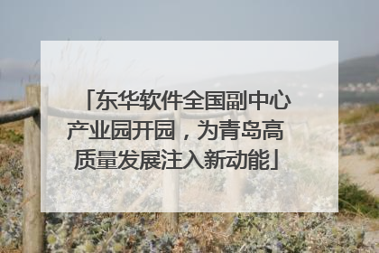东华软件全国副中心产业园开园，为青岛高质量发展注入新动能